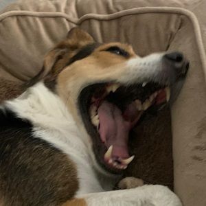 Meet your Posher, Min